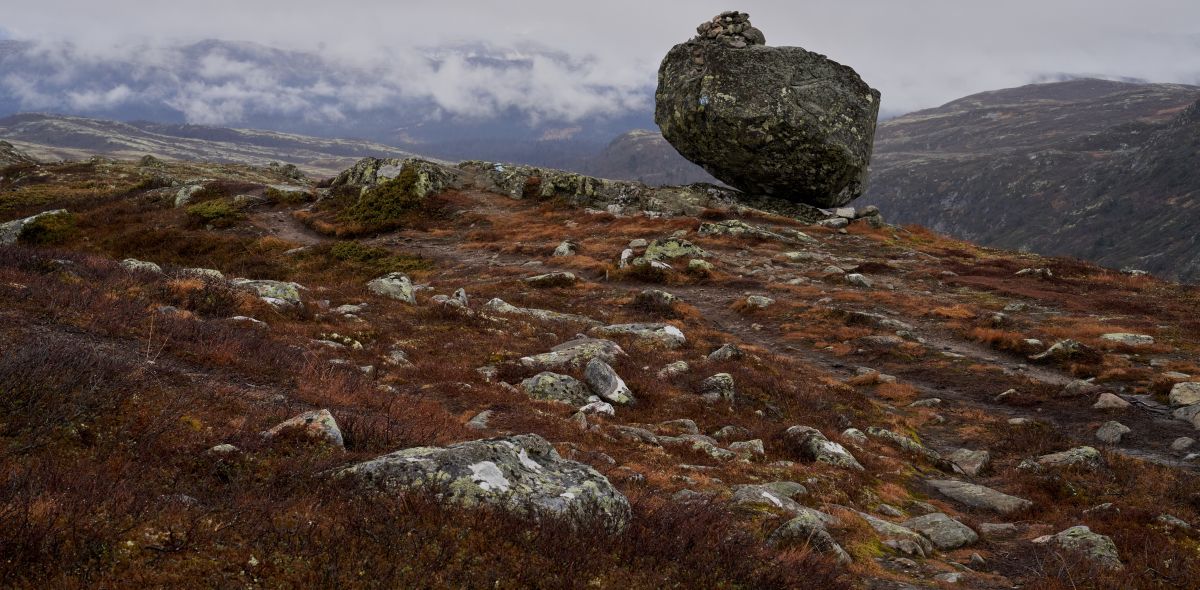 Moody Nordic tundra landscape with boulder and autumn heather representing the grounding preventive hygiene care at Hayden Dental Group in Hermiston Oregon